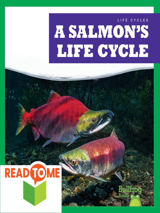 Title details for A Salmon's Life Cycle by Jamie Rice - Available